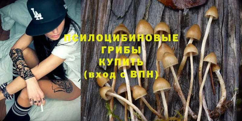 Галлюциногенные грибы Magic Shrooms  omg ТОР  Белогорск  купить наркотик 